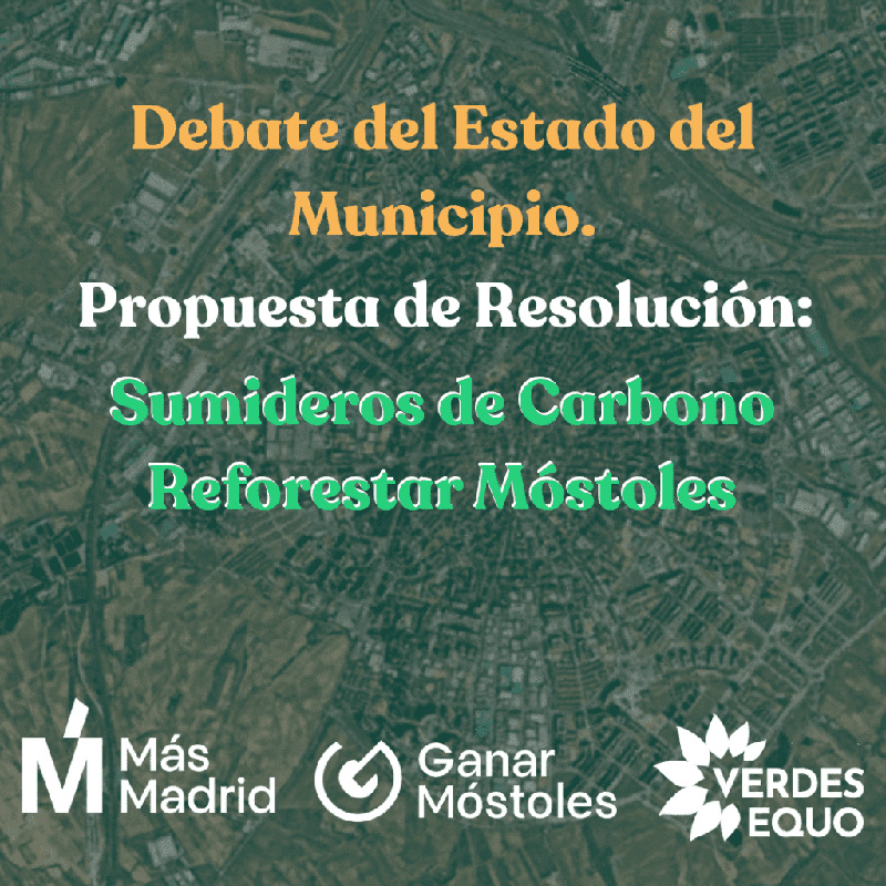 Propuesta sumideros de carbono