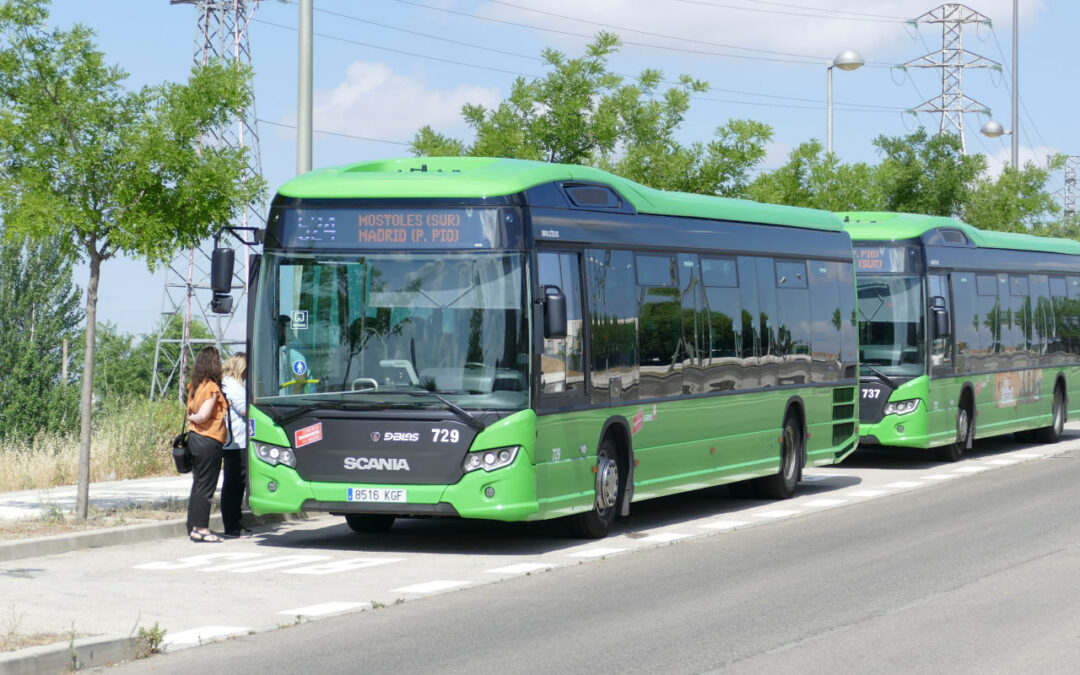 Más Madrid Móstoles propone que el Ayuntamiento de Móstoles asuma línea de autobús al tanatorio-cementerio