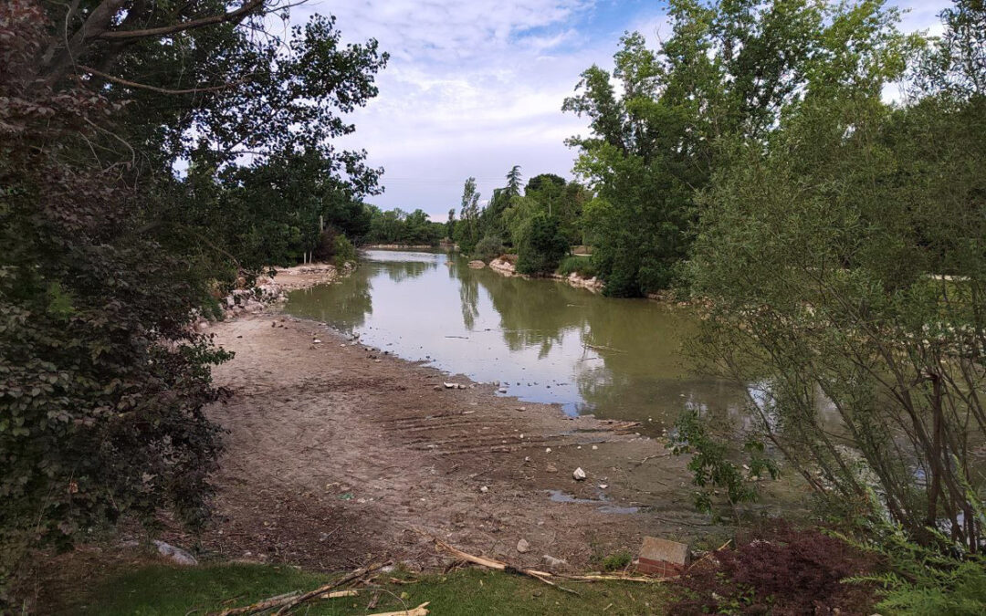 Más Madrid Móstoles denuncia el estado «crítico» del lago de El Soto